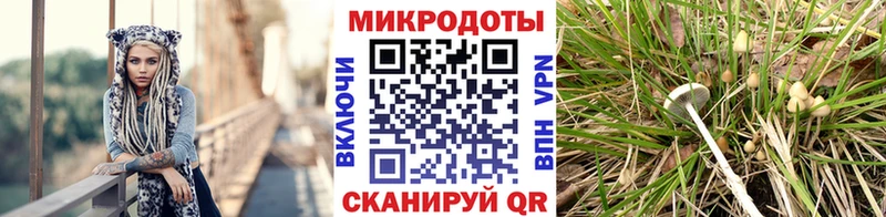 Галлюциногенные грибы Cubensis  сколько стоит  Фурманов 